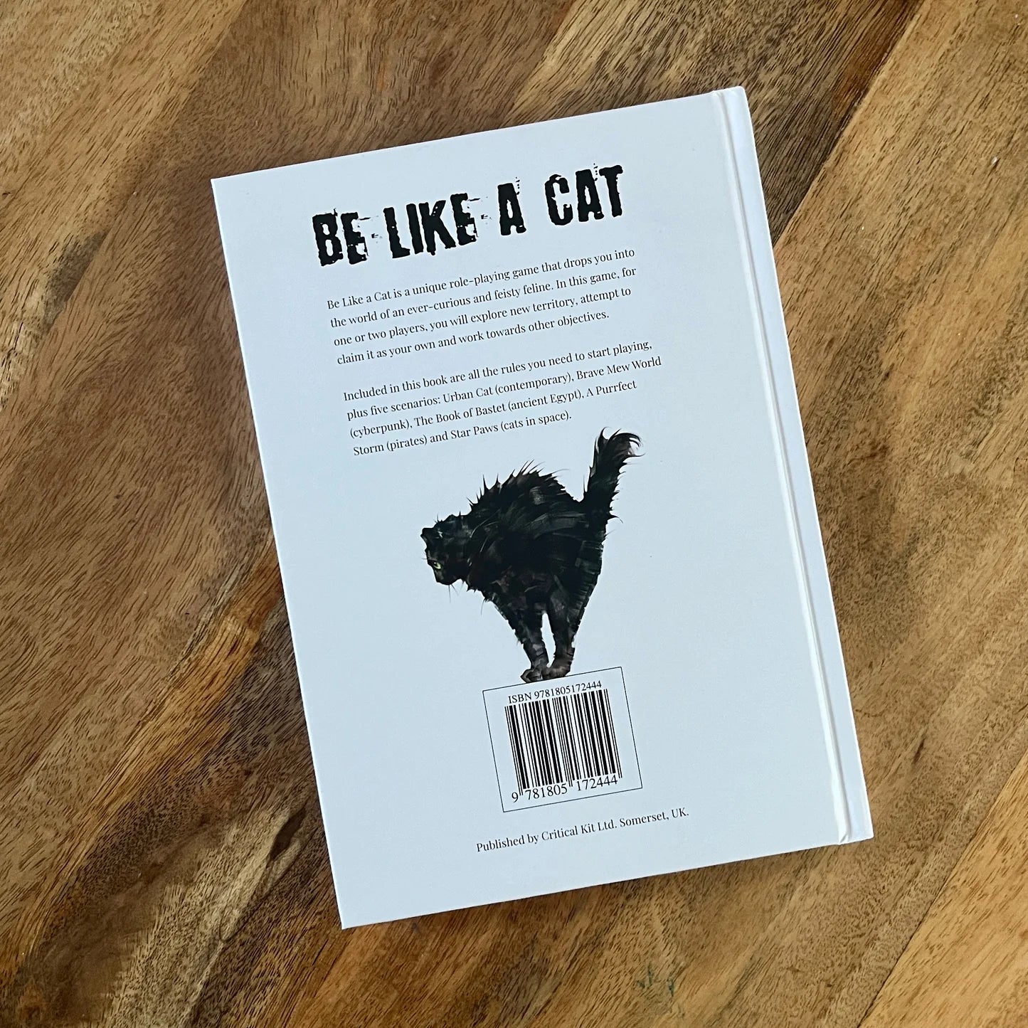 Be Like A Cat - A Solo or Two Player RPG