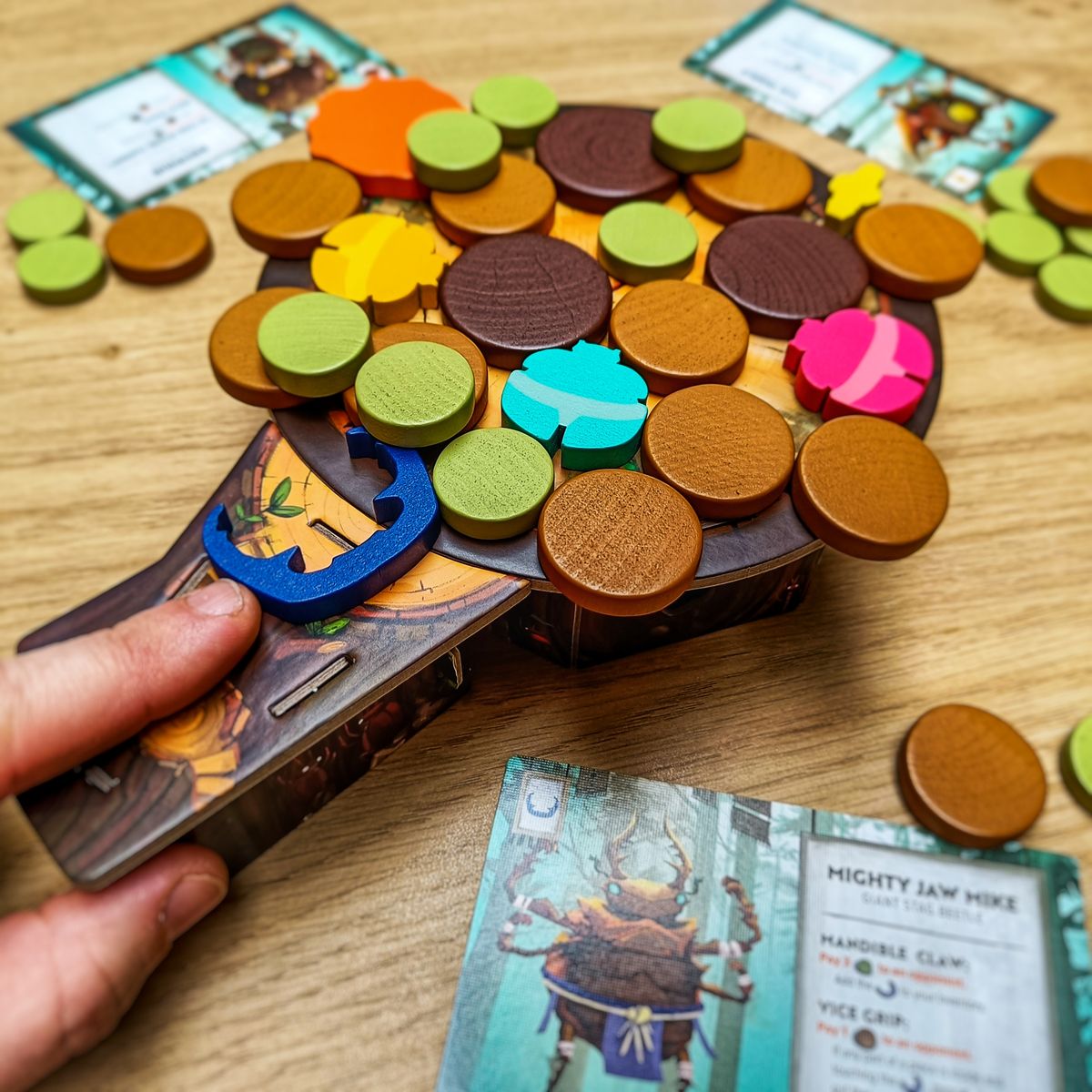 Kabuto Sumo